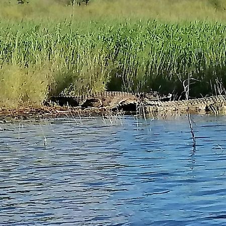 Camp Hogo Kavango Rundu Exteriör bild